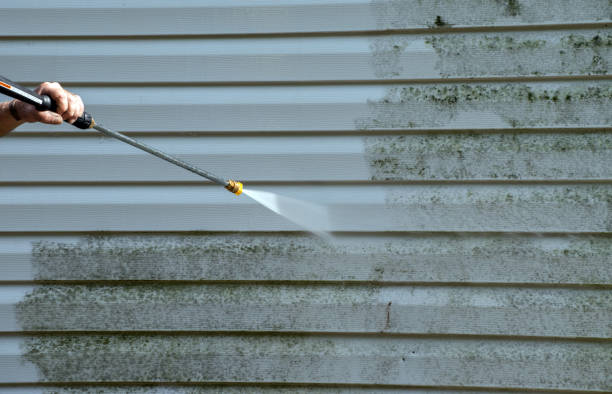 Best Sidewalk and Walkway Cleaning  in Independence, VA