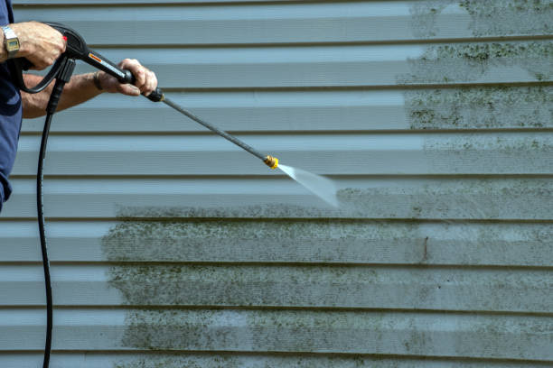 Best Roof Washing  in Independence, VA